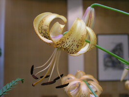 Foto: Dr. Peter Müller